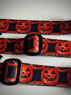 ReadyForBuckle | Collar | Pumpkin