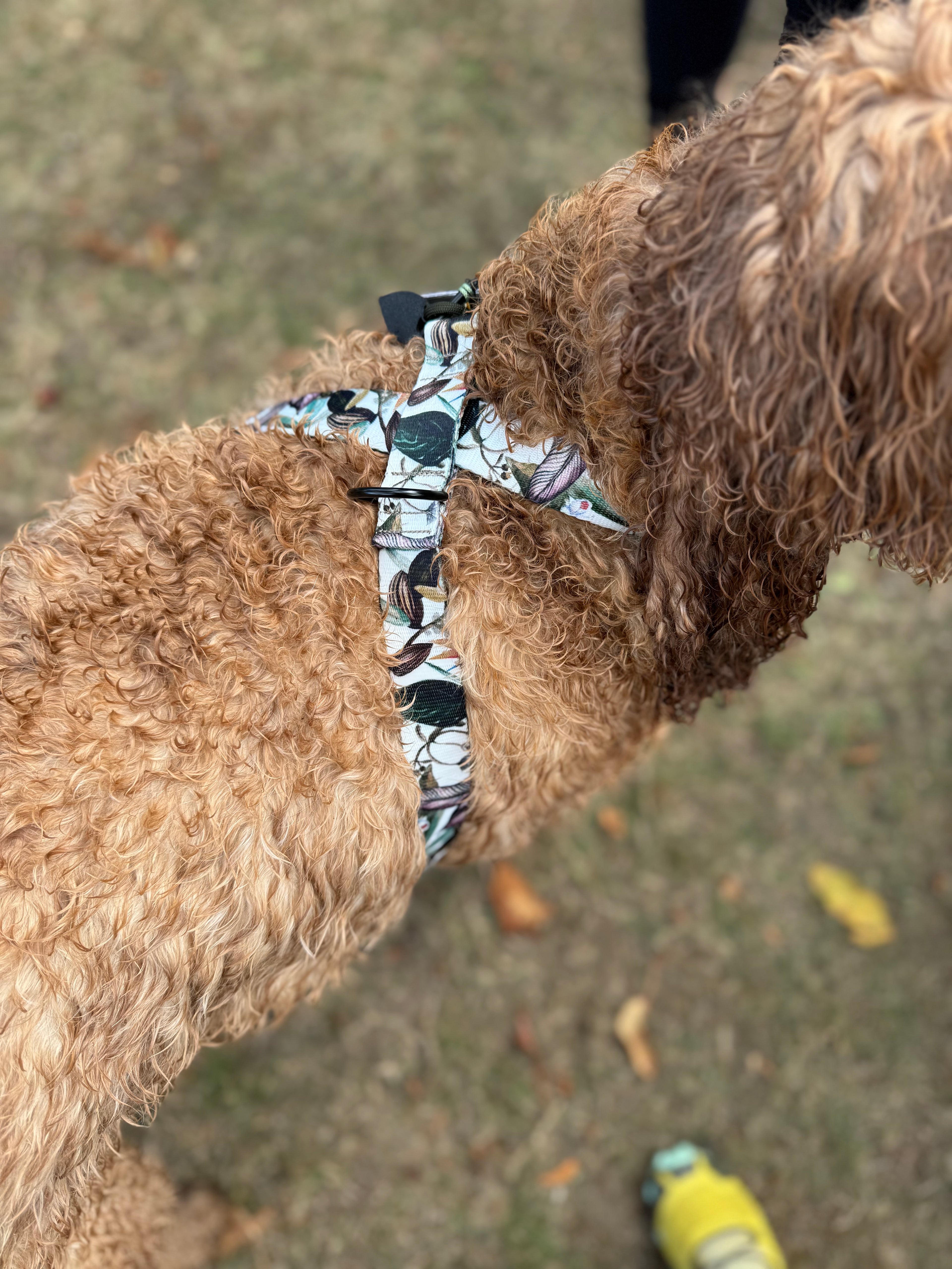 ReadyForHarness | Banana Tree