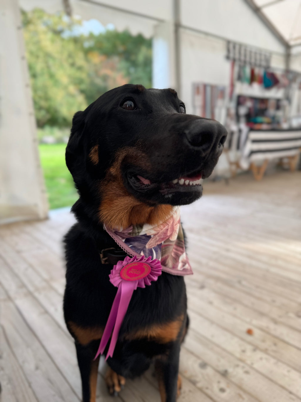 ReadyForBandana | Velvet  | Meadow