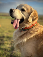 ReadyForFusion | Collar | Energy I