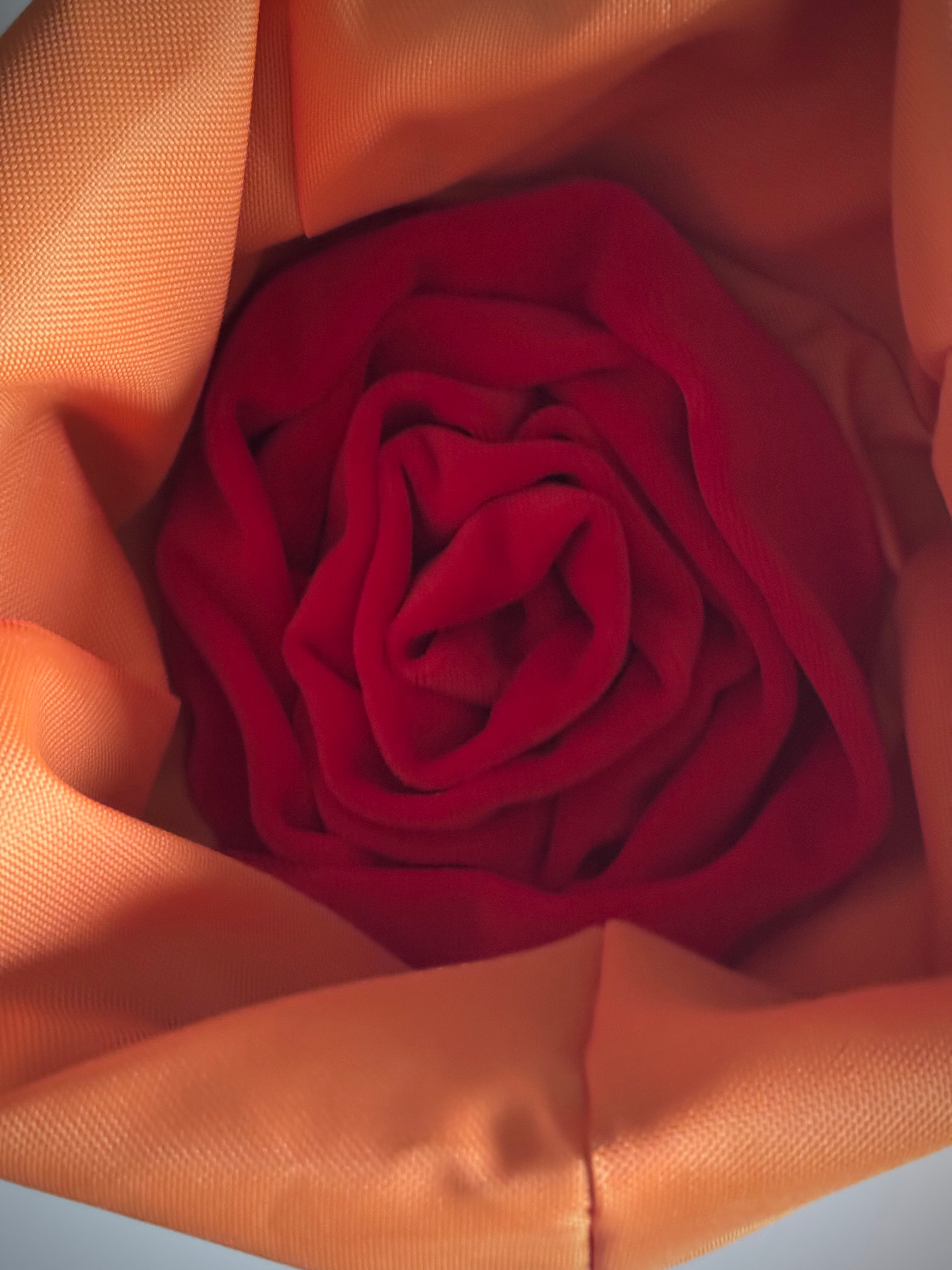 ReadyForSnack&Sniff | Grey/Orange