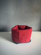 ReadyForSnack&Sniff | Navy/Red