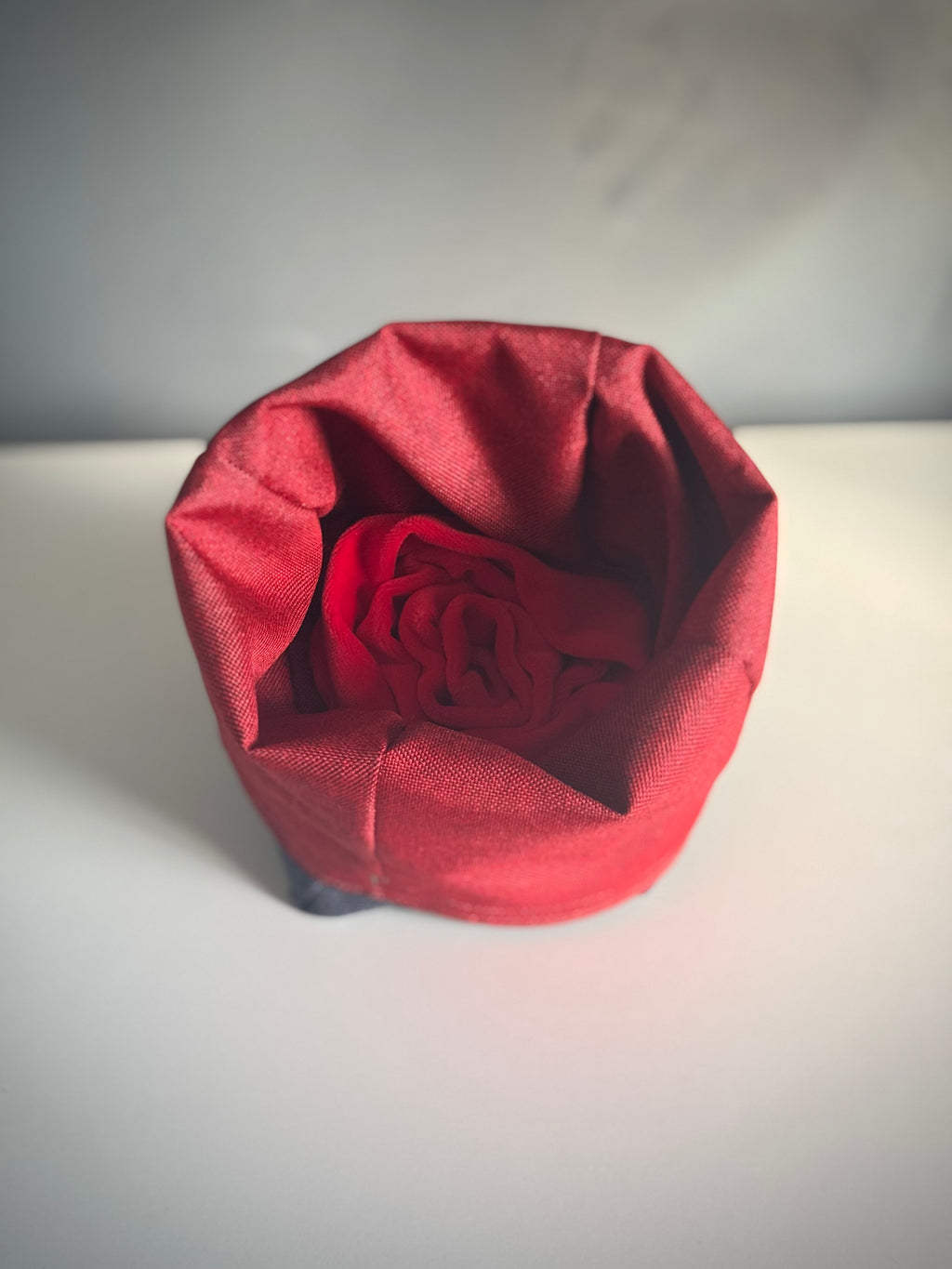 ReadyForSnack&Sniff | Navy/Red