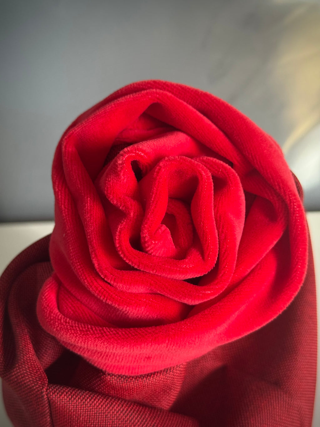 ReadyForSnack&Sniff | Navy/Red