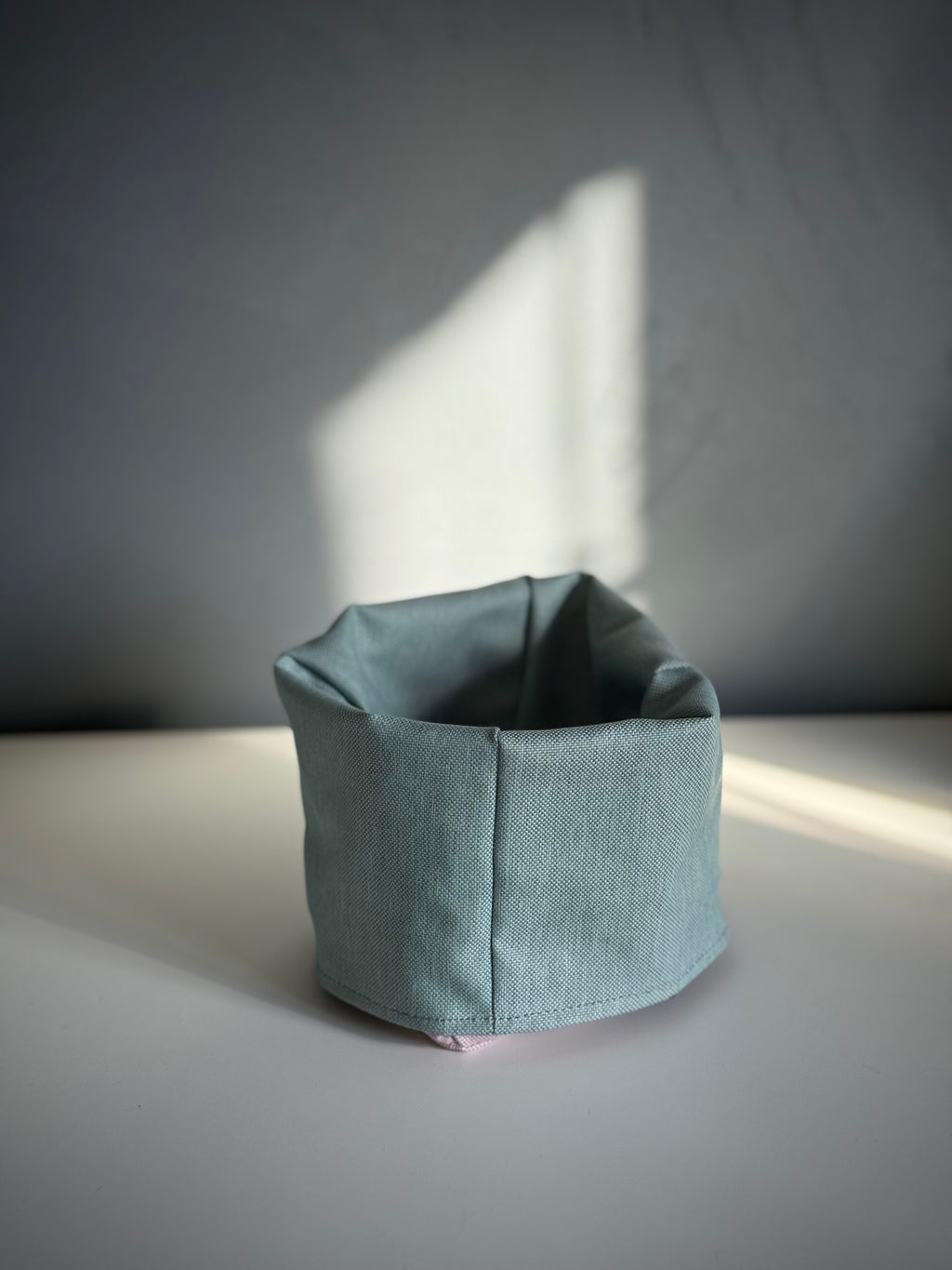 ReadyForSnack&Sniff | Pink/Turquoise