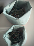 ReadyForSnack&Sniff | Pink/Turquoise