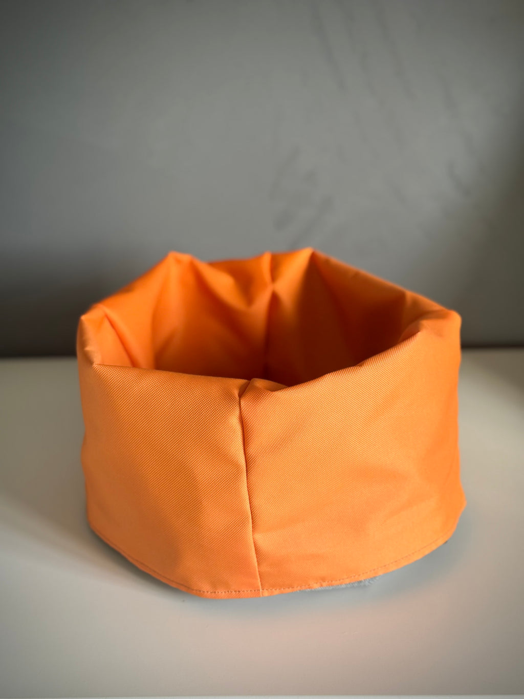 ReadyForSnack&Sniff | Grey/Orange