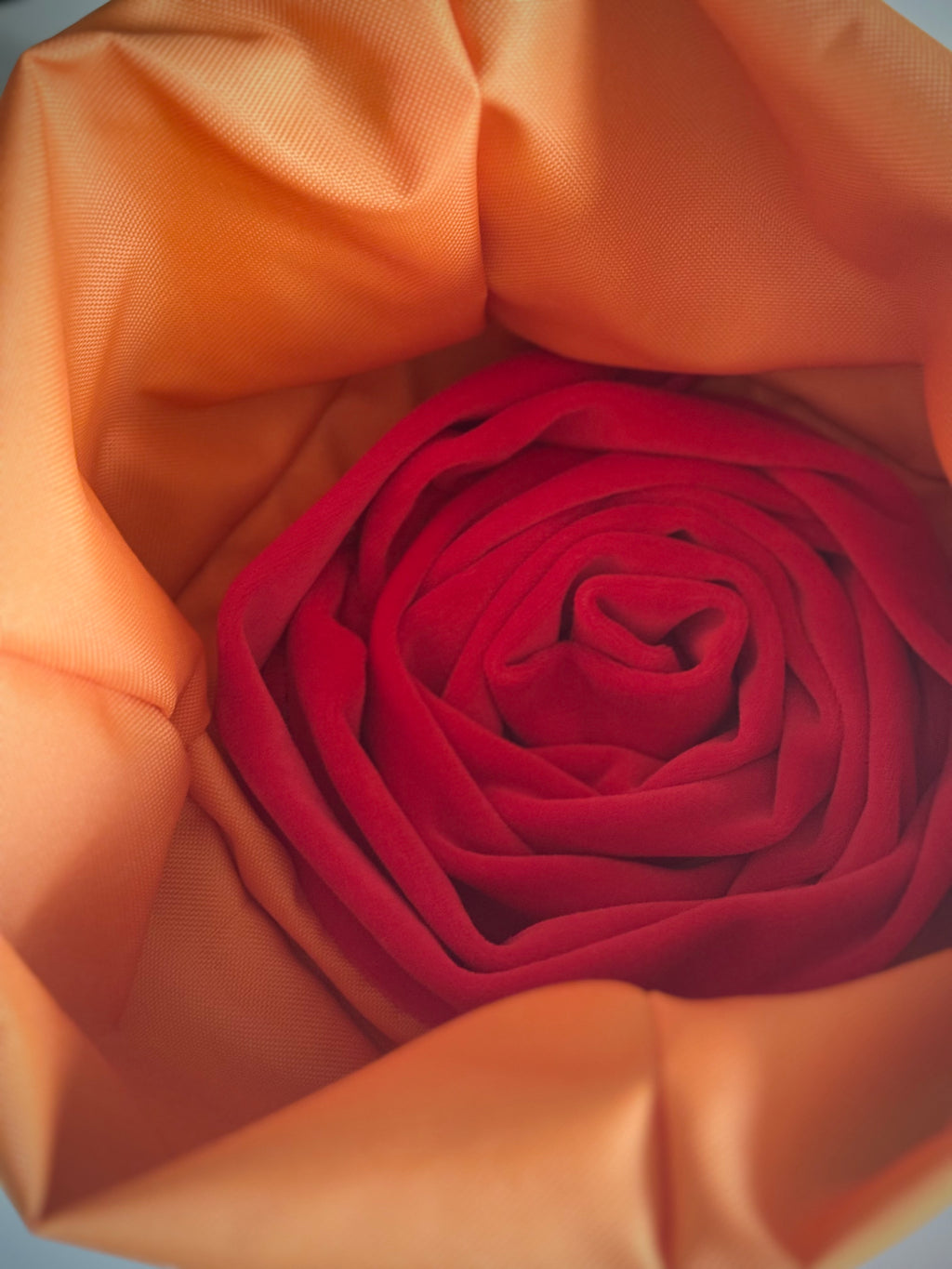 ReadyForSnack&Sniff | Grey/Orange