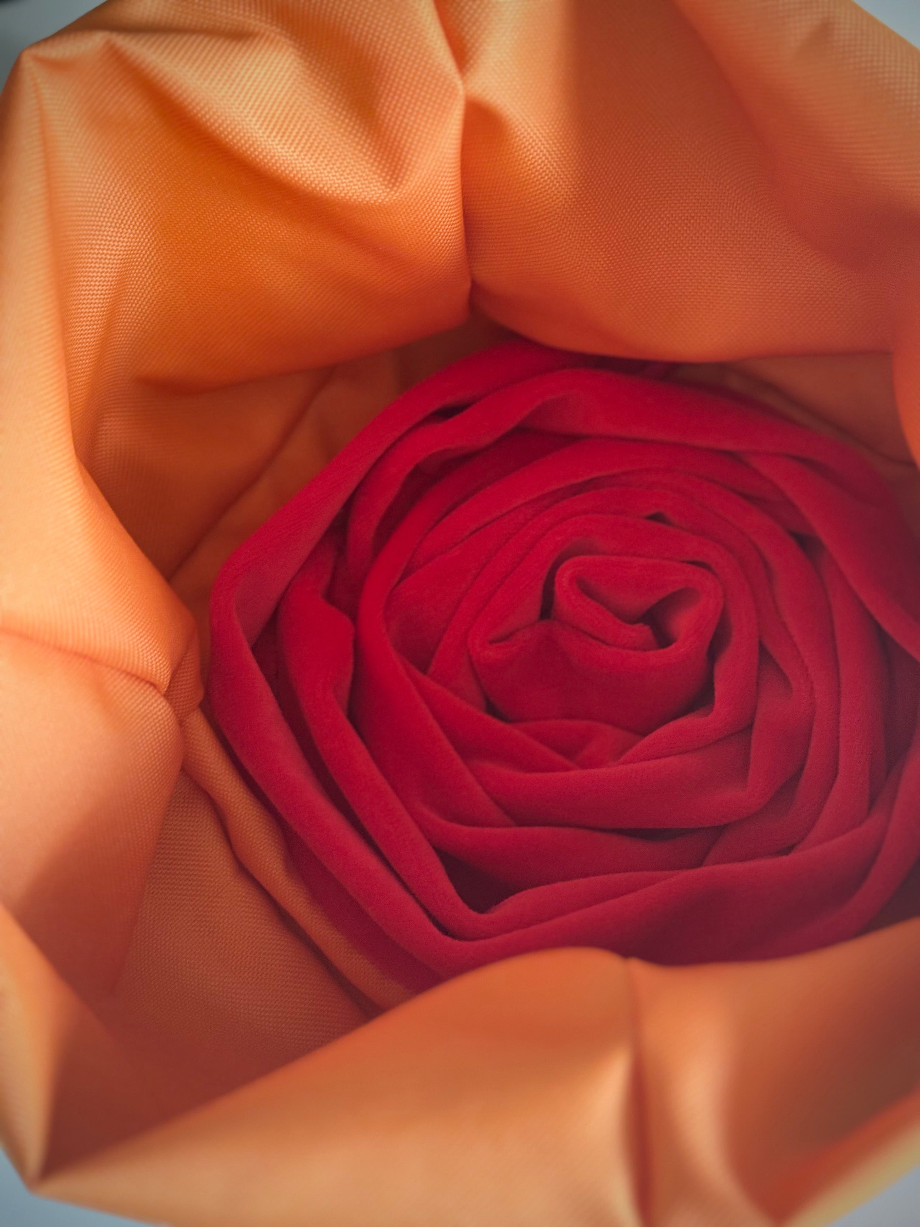 ReadyForSnack&Sniff | Grey/Orange