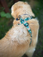 ReadyForHarness | Green Meadow