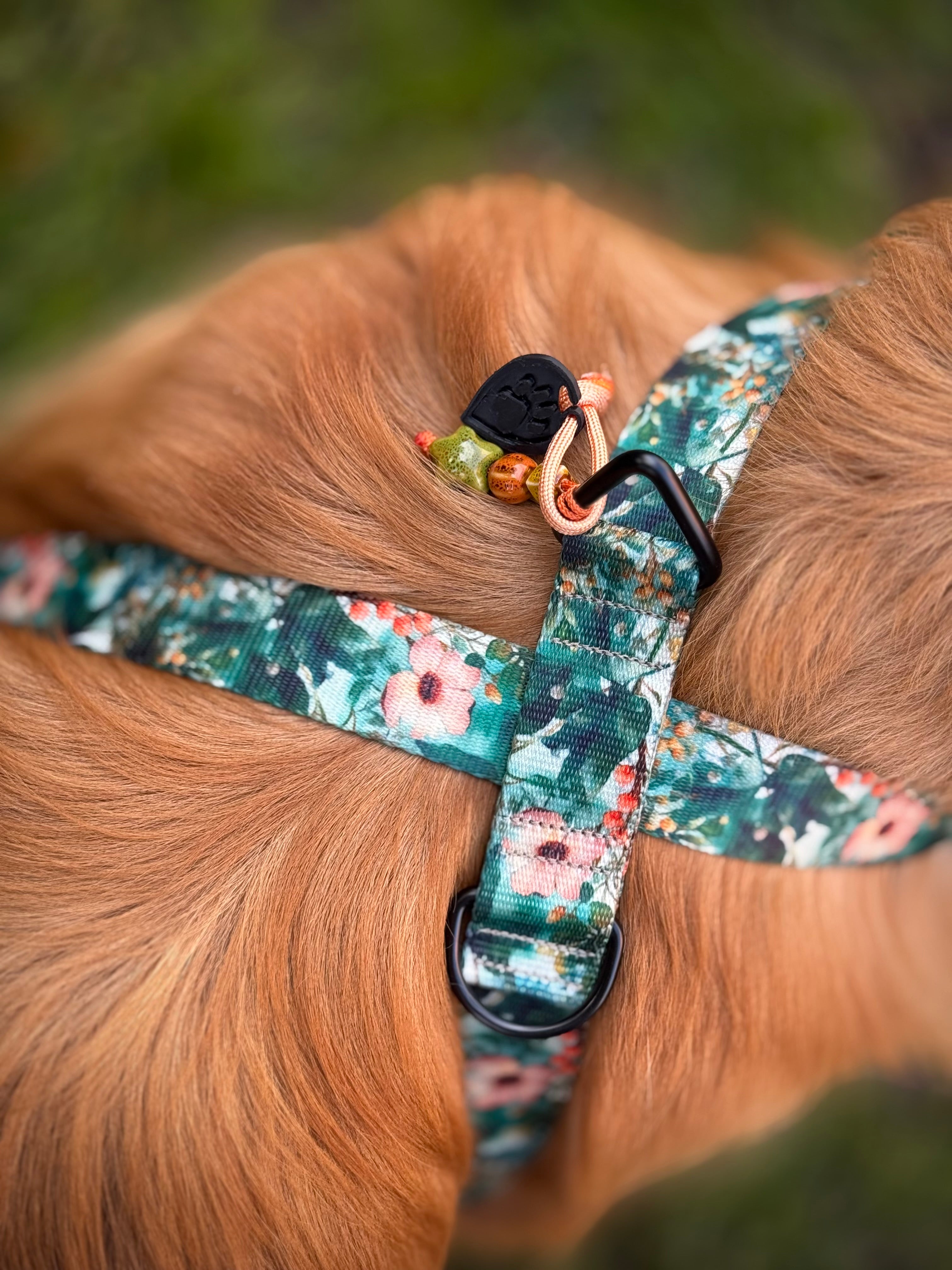 ReadyForHarness | Green Meadow