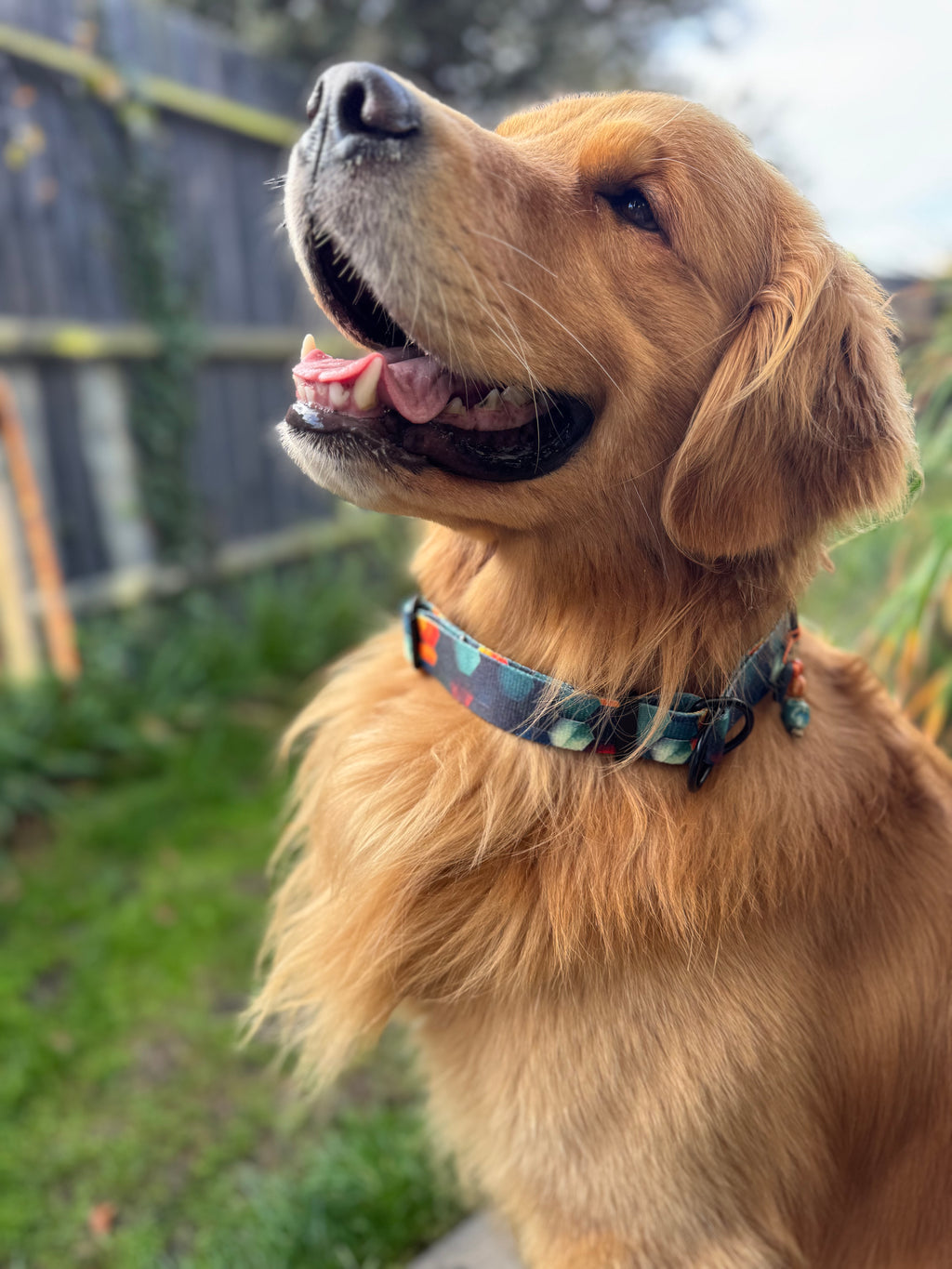 ReadyForHalf-slip | Collar | Hexagon