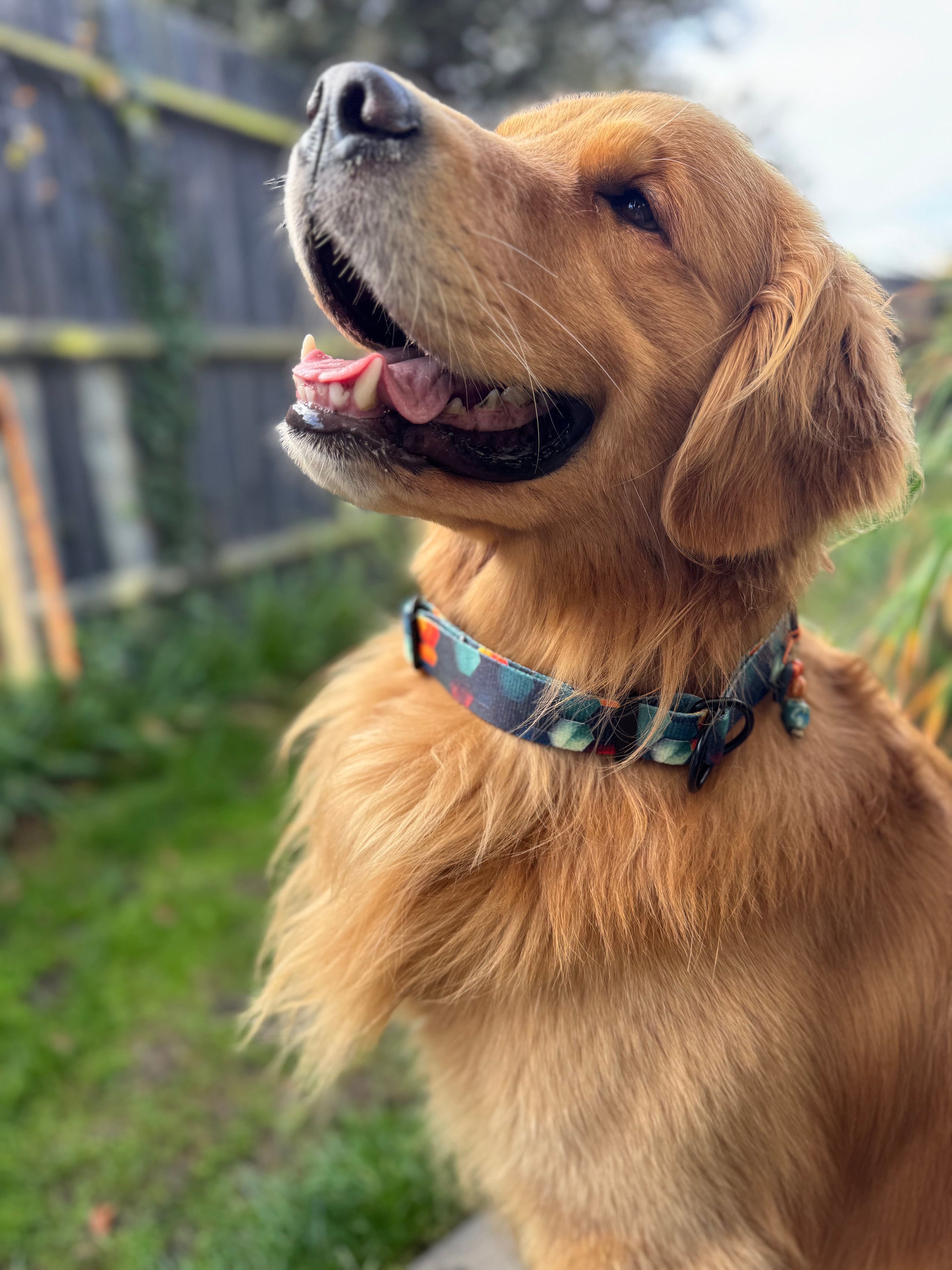 ReadyForHalf-slip | Collar | Hexagon