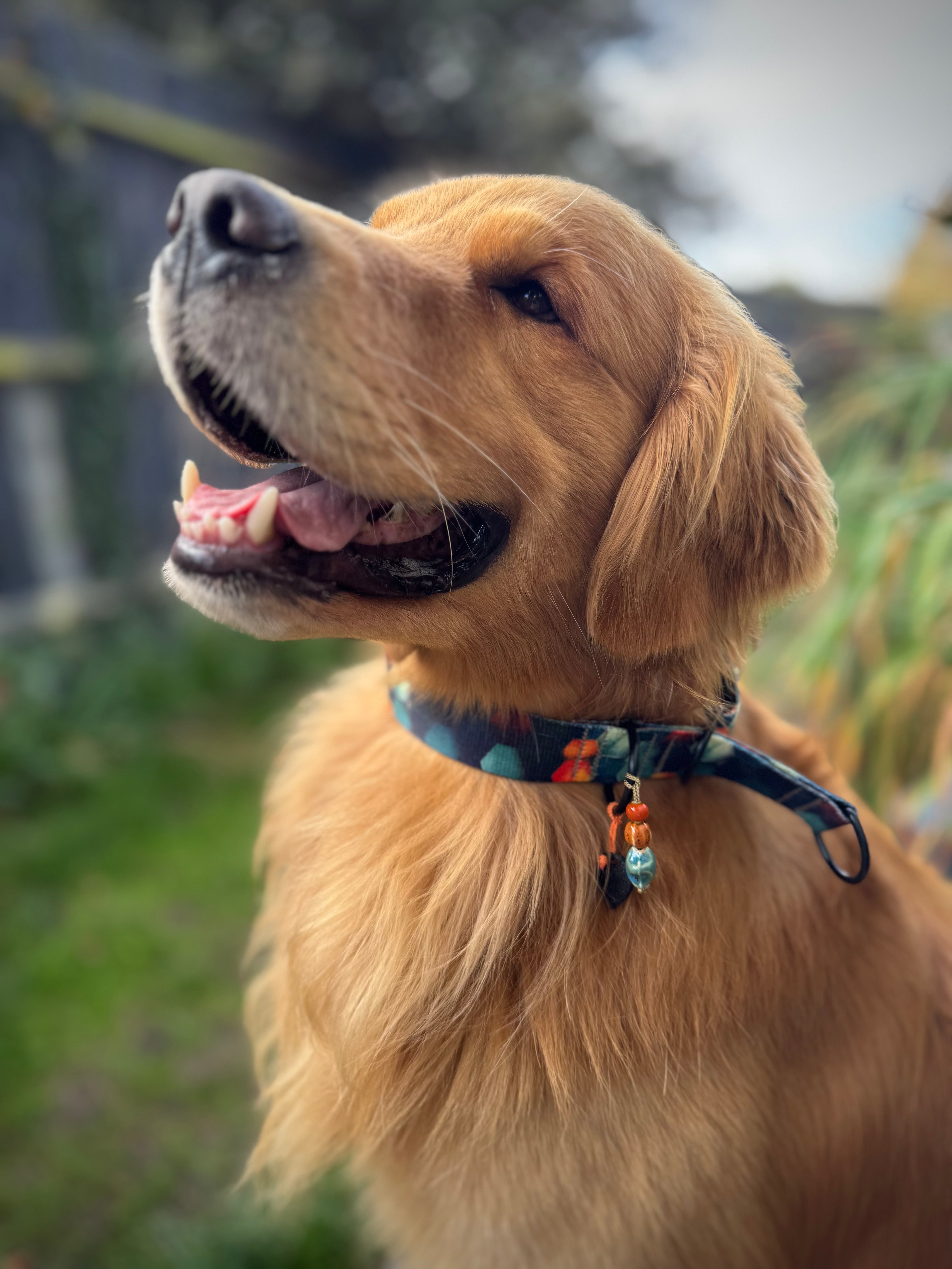 ReadyForHalf-slip | Collar | Hexagon