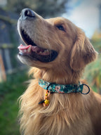 ReadyForHalf-slip | Collar | Green Meadow