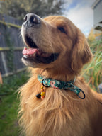 ReadyForHalf-slip | Collar | Green Meadow