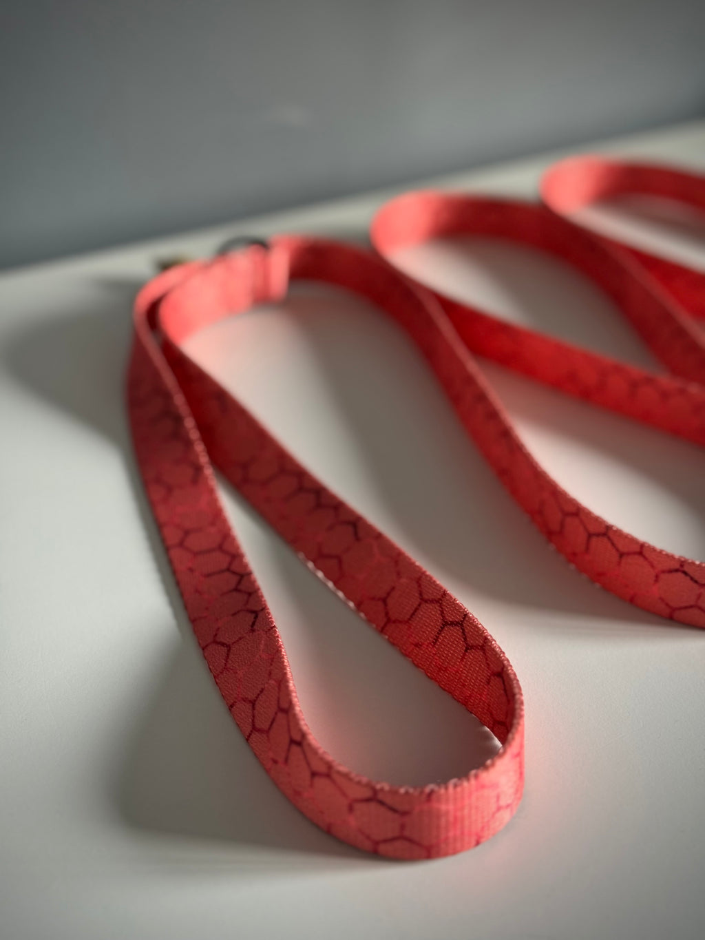 ReadyForWalk | Traditional leash | Hexagon Pink