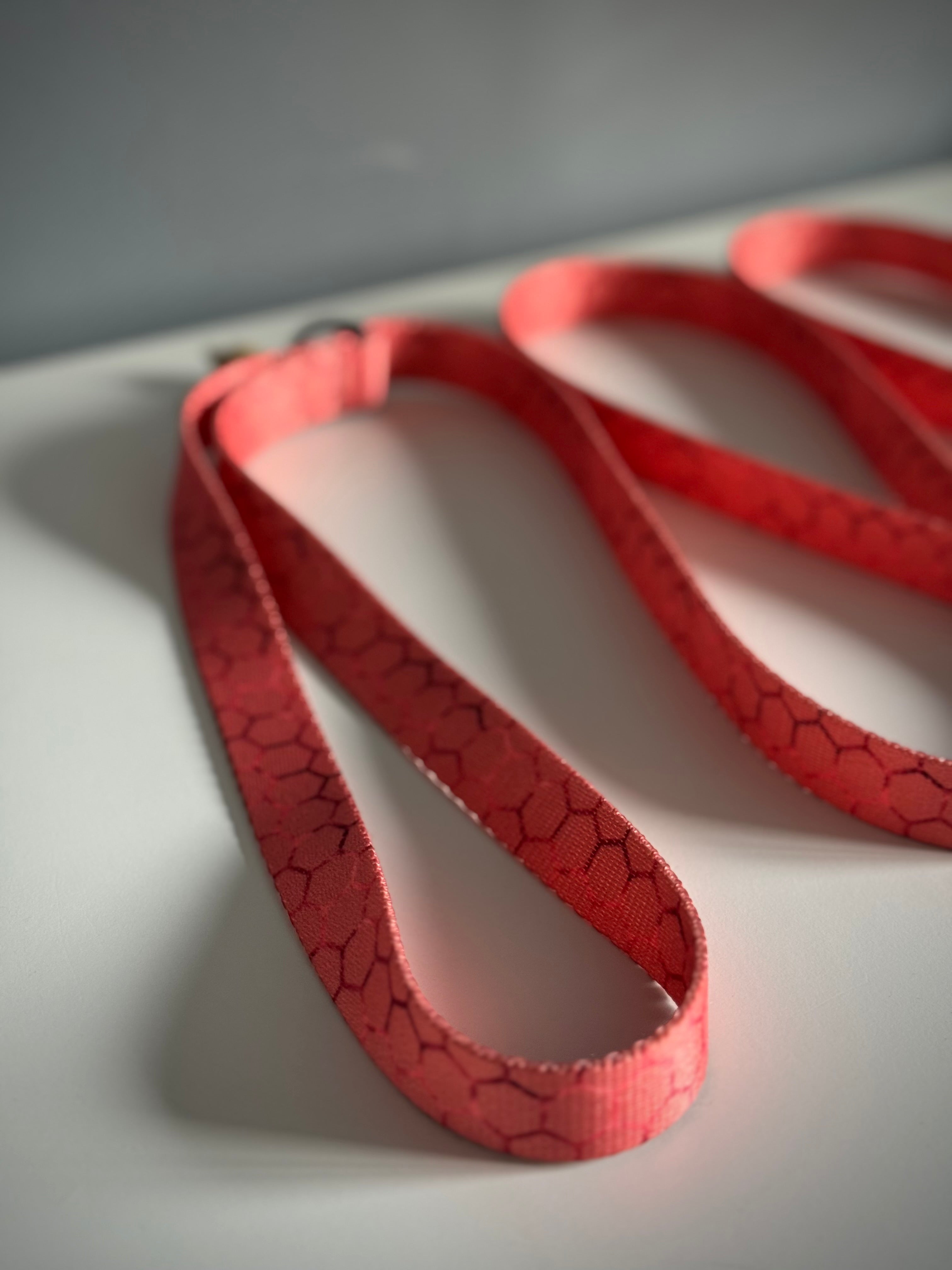 ReadyForWalk | Traditional leash | Hexagon Pink