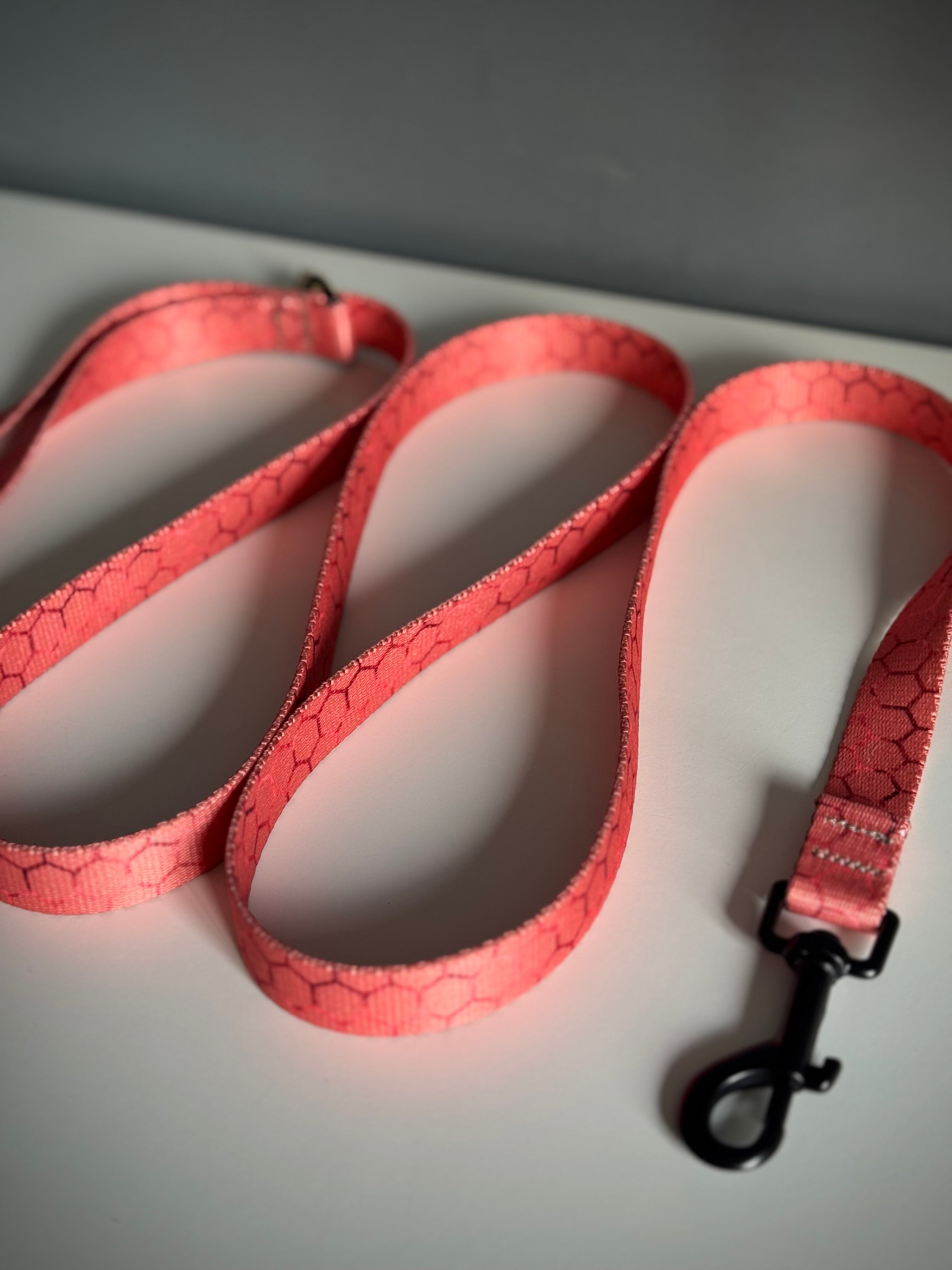 ReadyForWalk | Traditional leash | Hexagon Pink