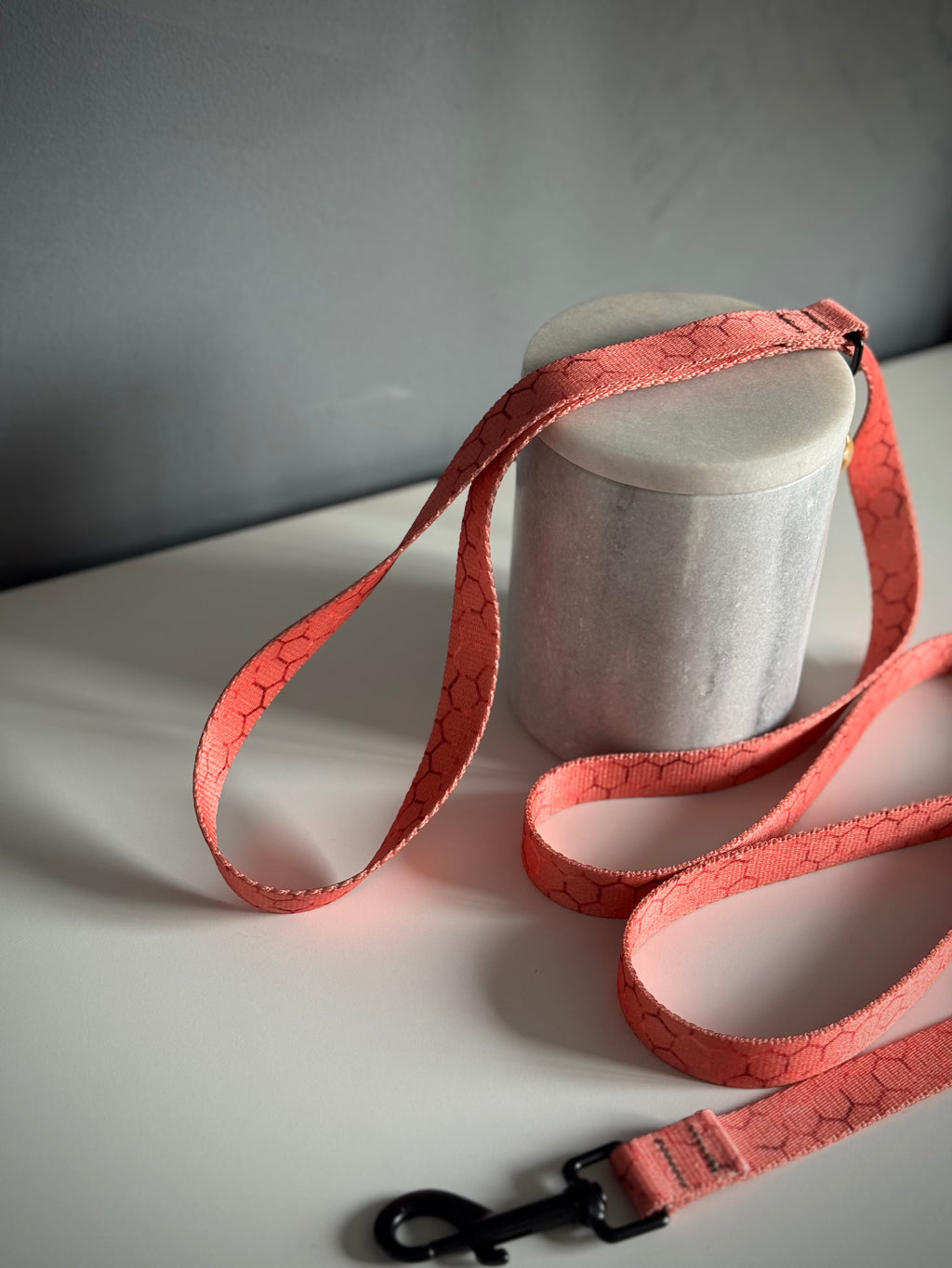 ReadyForWalk | Traditional leash | Hexagon Pink