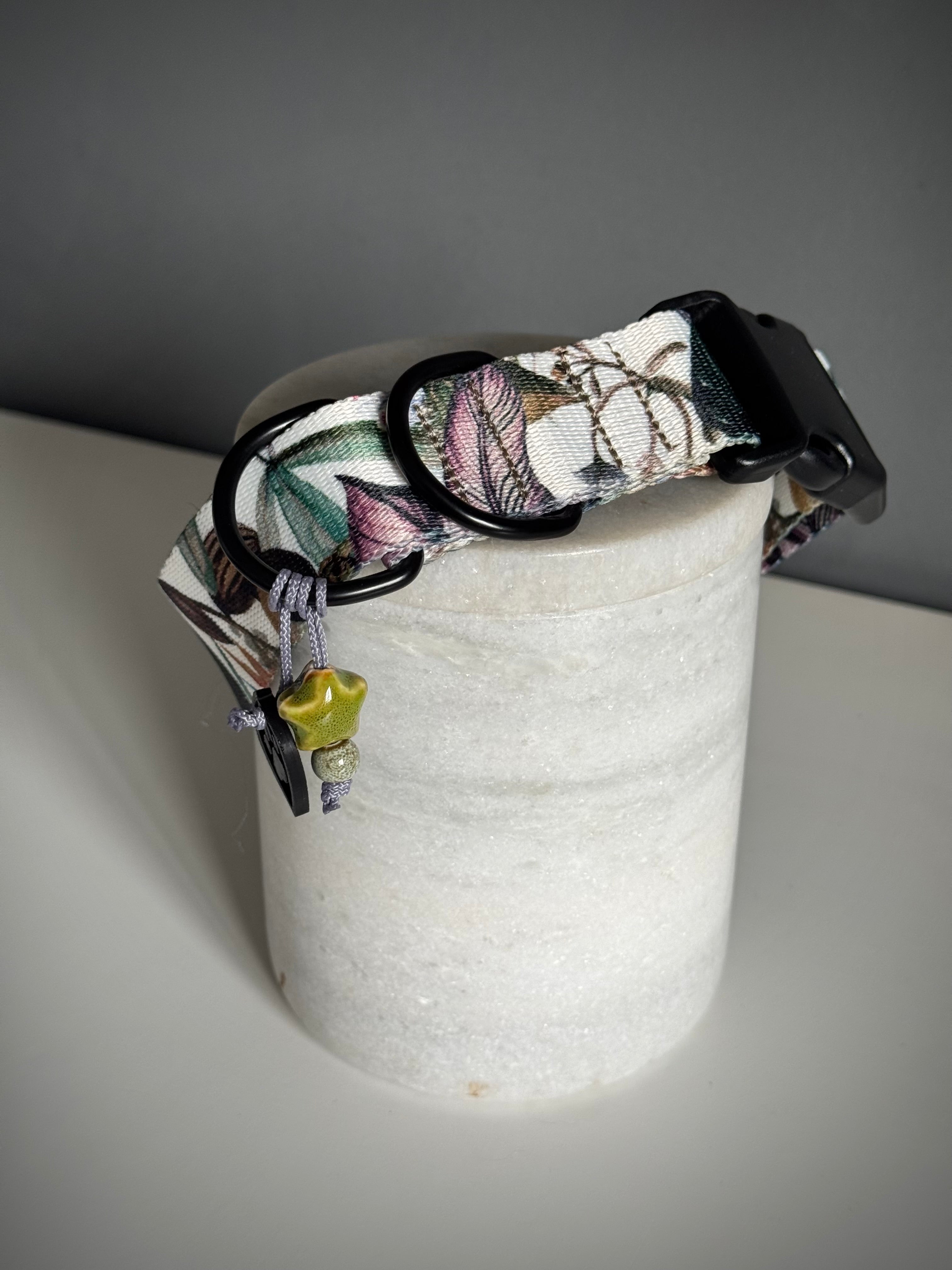 ReadyForBuckle | Collar | Banana Tree