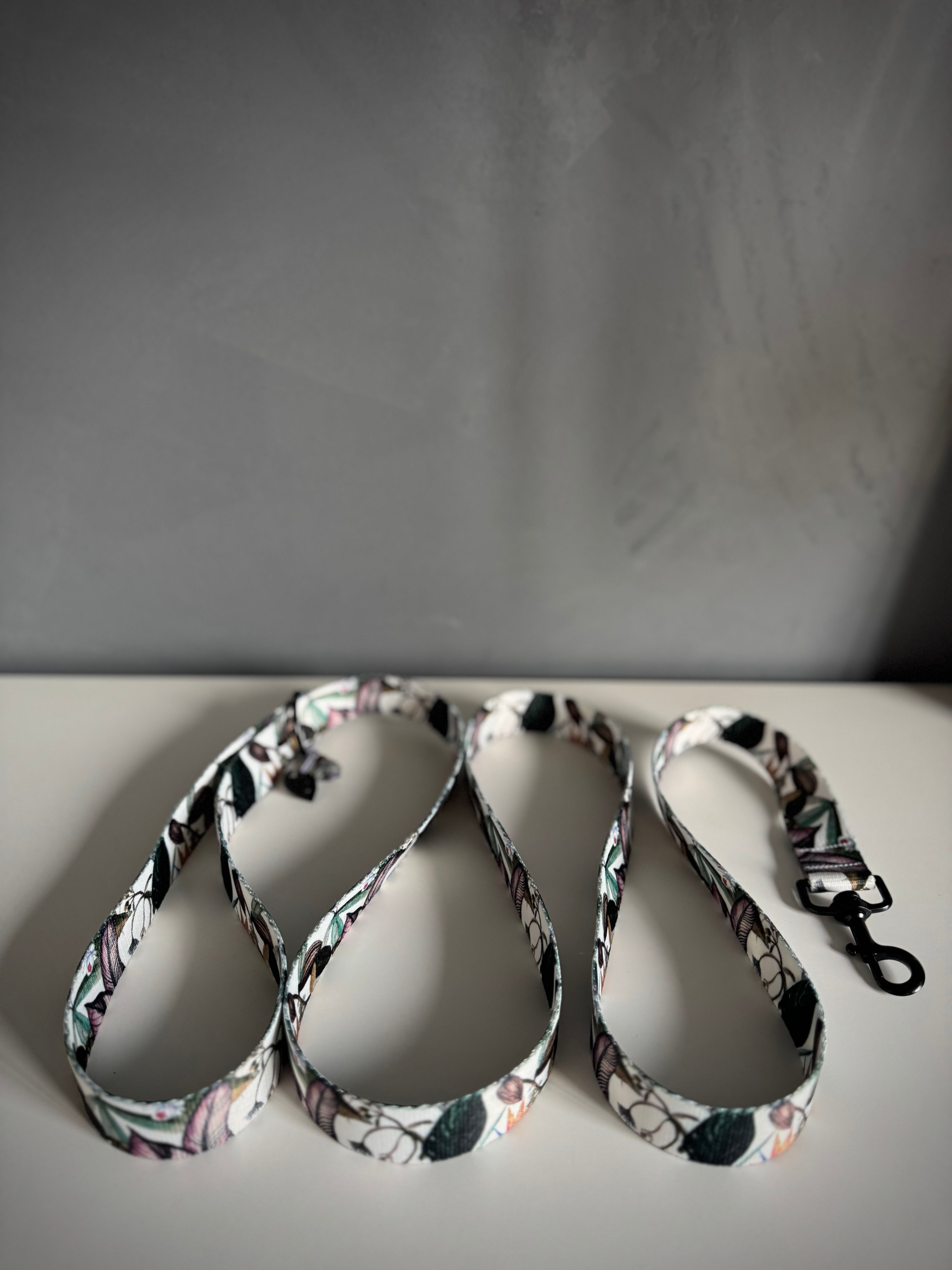 ReadyForWalk | Traditional leash | Banana Tree