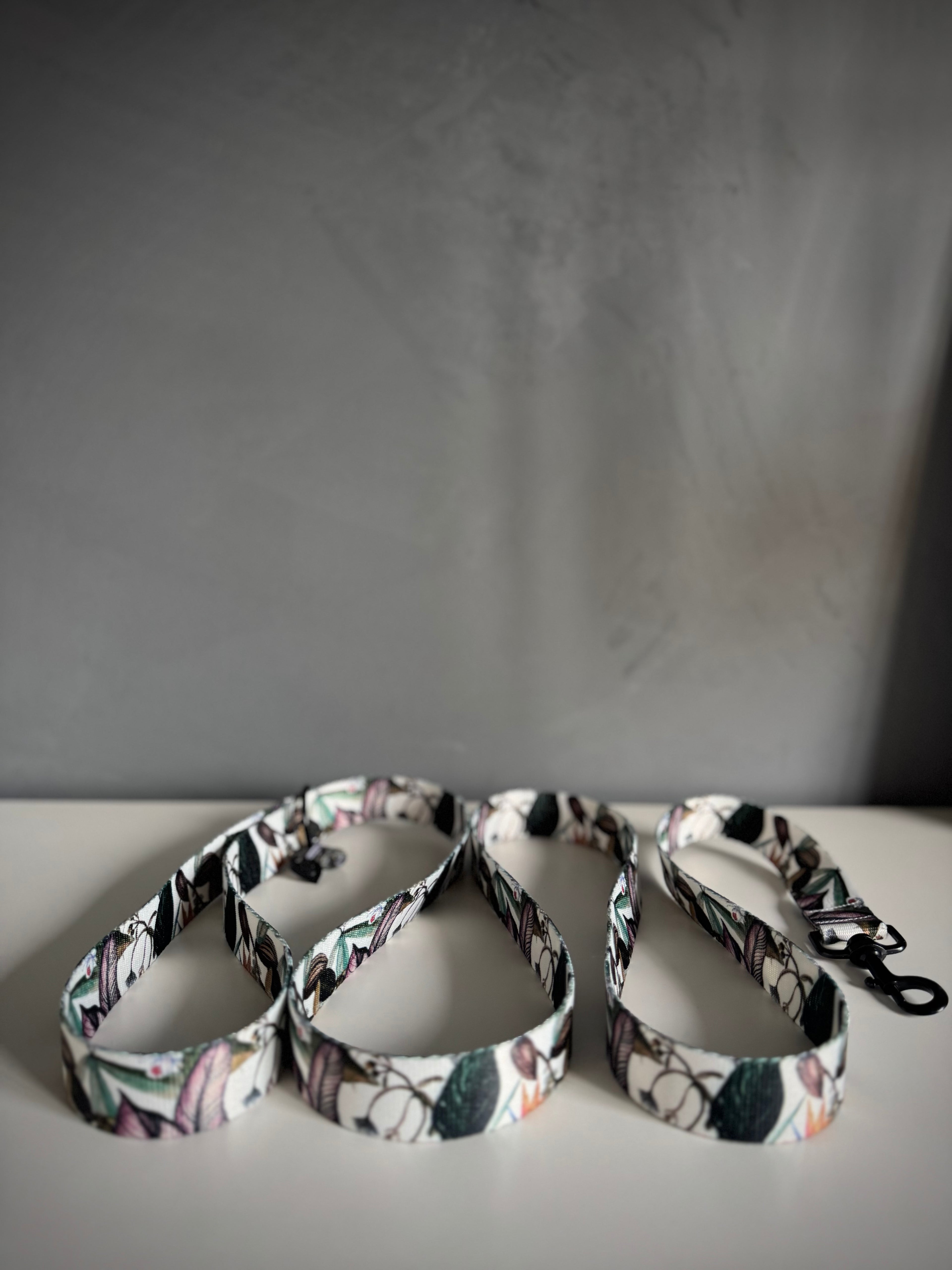 ReadyForWalk | Traditional leash | Banana Tree