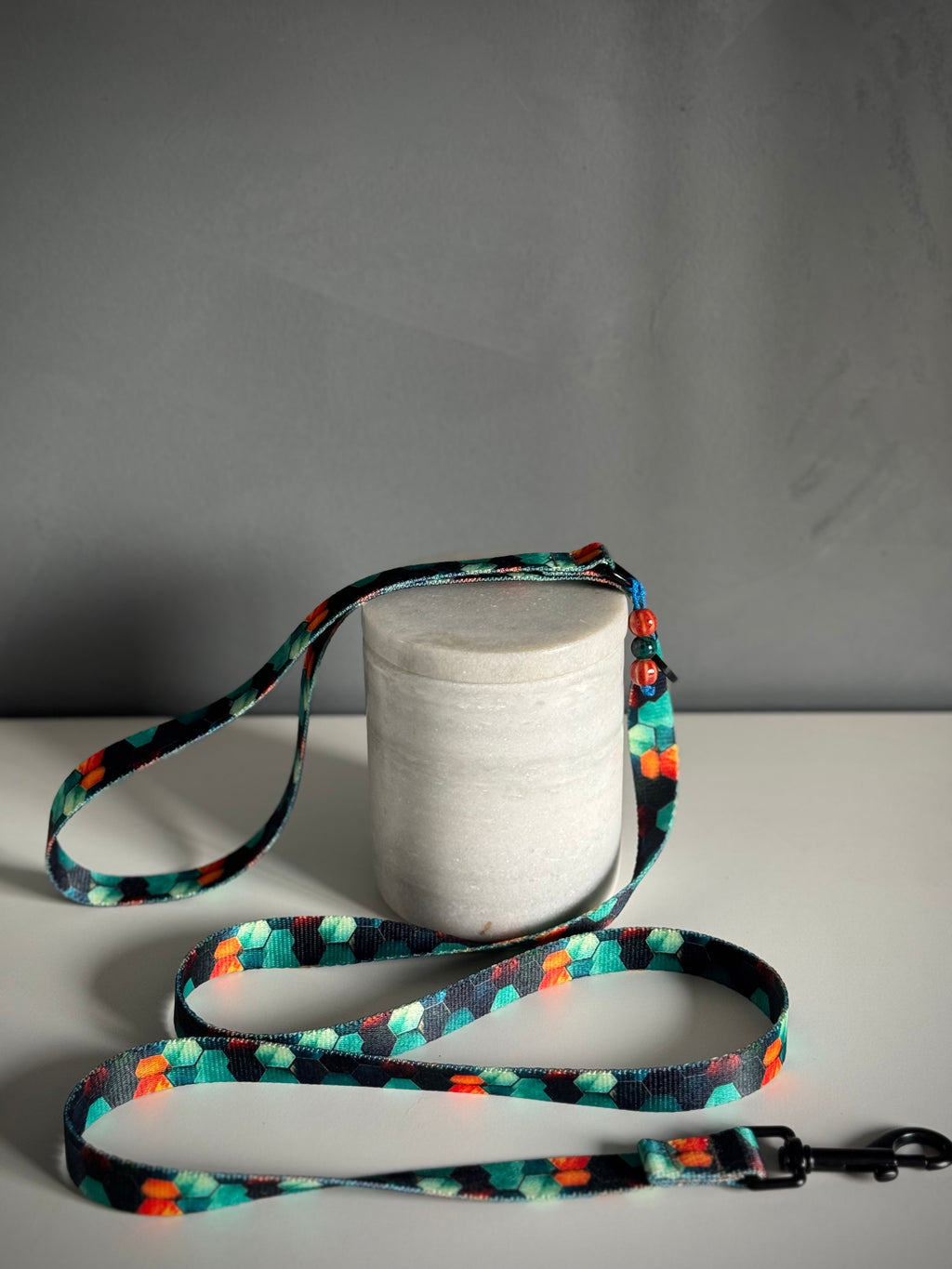 ReadyForWalk | Traditional leash | Hexagon