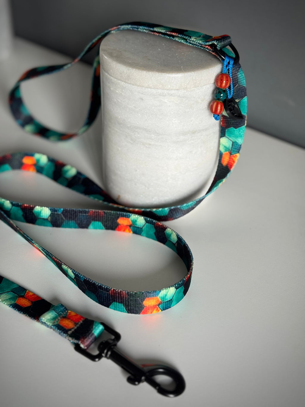 ReadyForWalk | Traditional leash | Hexagon