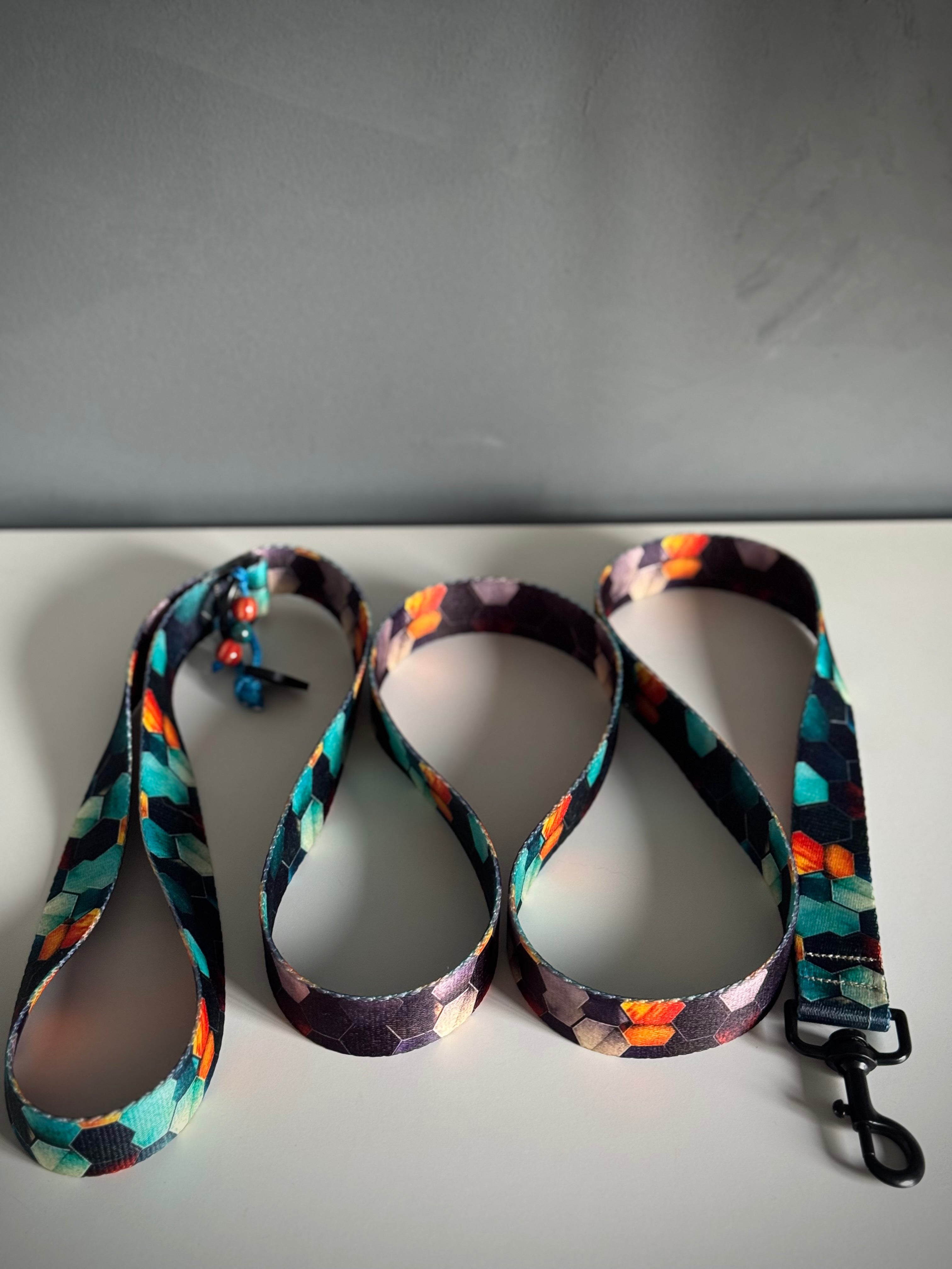 ReadyForWalk | Traditional leash | Hexagon