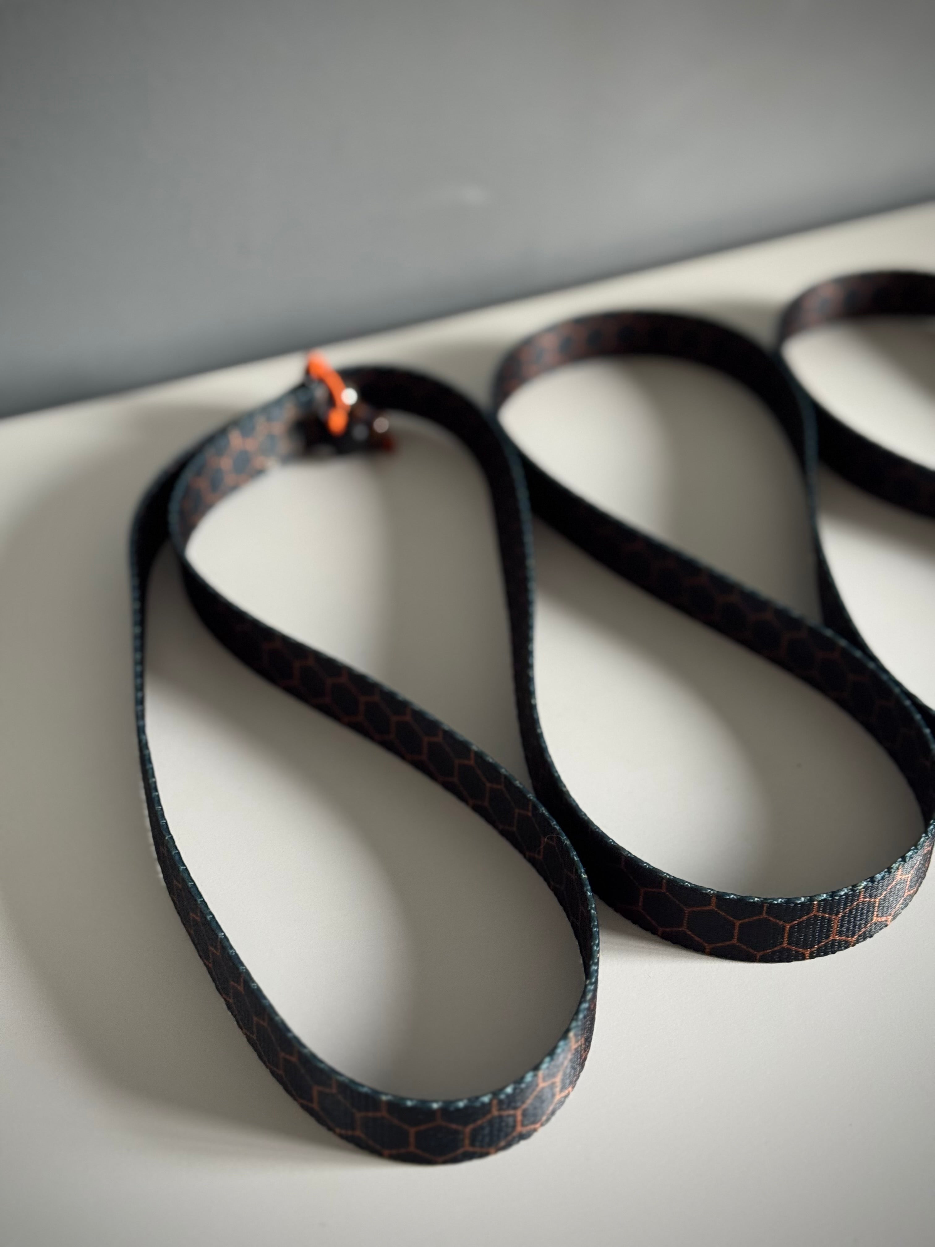 ReadyForWalk | Traditional leash | Hexagon Navy