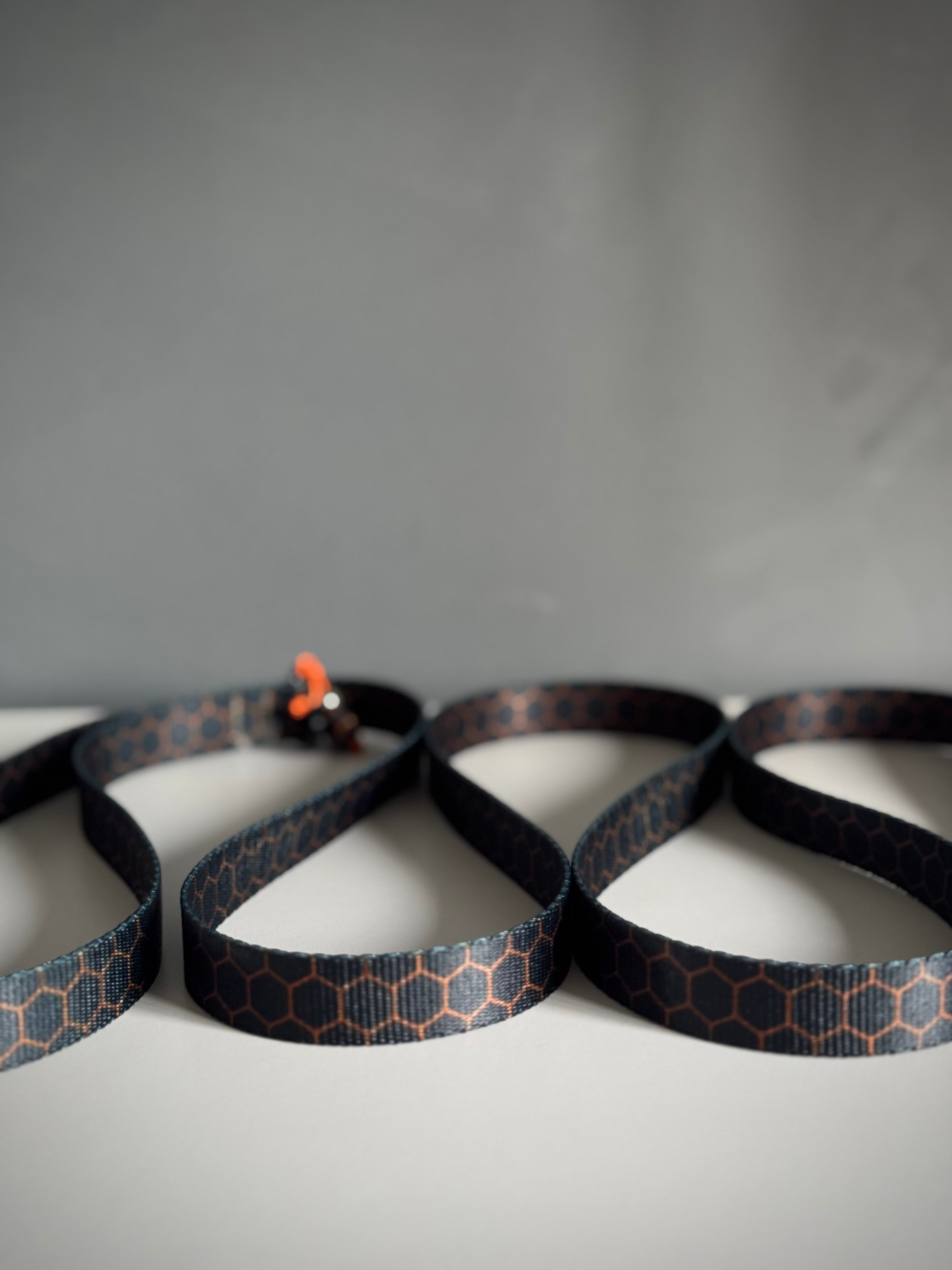 ReadyForWalk | Traditional leash | Hexagon Navy