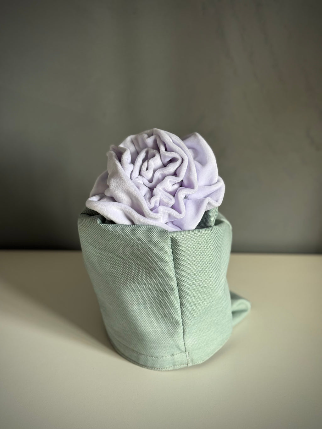 ReadyForSnack&Sniff | Tourquoise