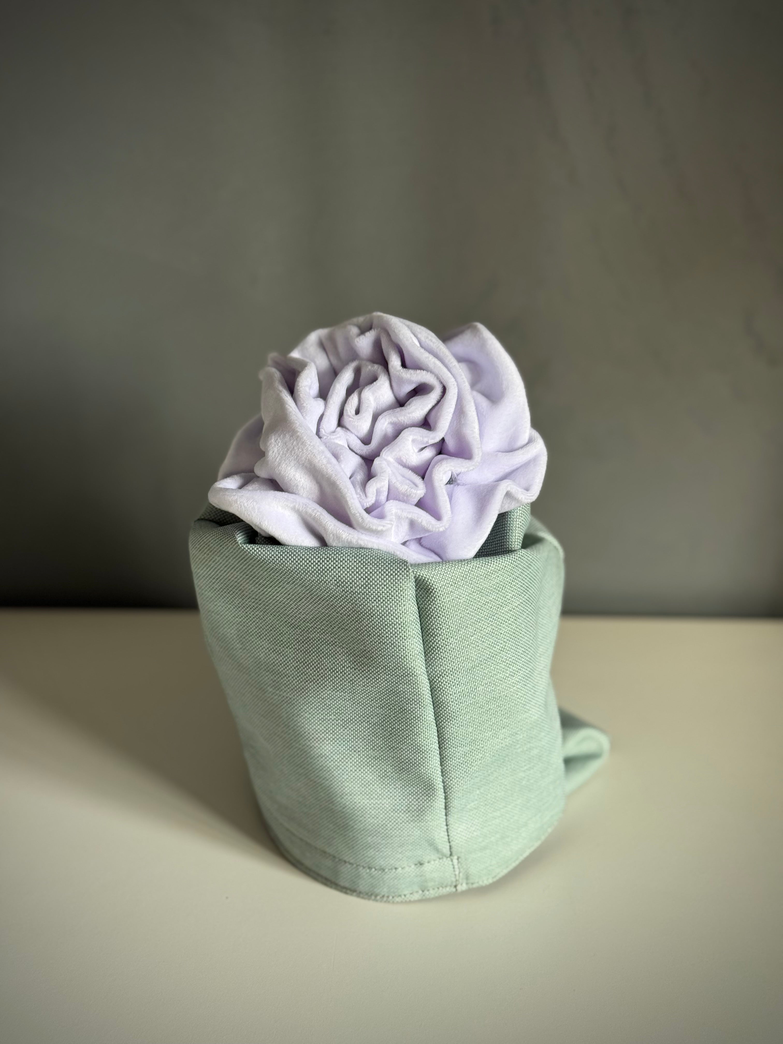 ReadyForSnack&Sniff | Tourquoise