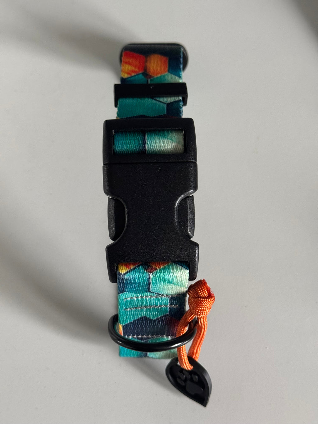 ReadyForBuckle | Collar | Hexagon