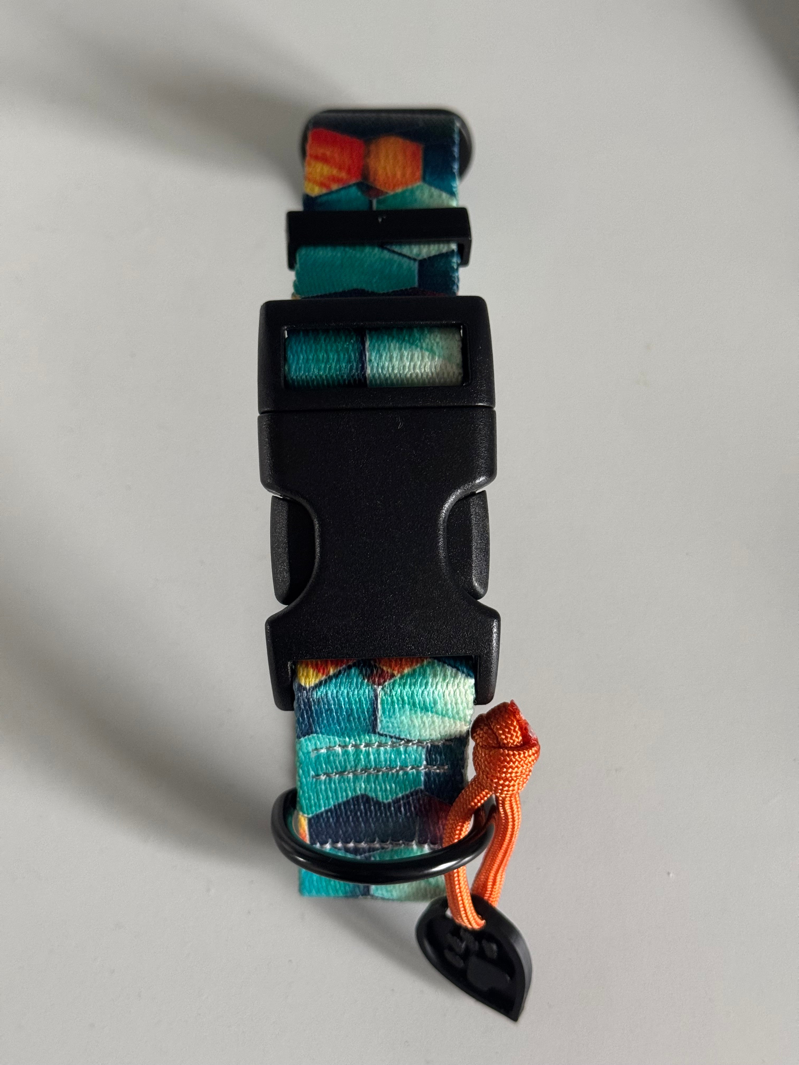 ReadyForBuckle | Collar | Hexagon