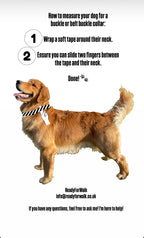 ReadyForBuckle | Collar | Hexagon Navy