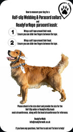 ReadyForHalf-slip | Collar | Hexagon Navy