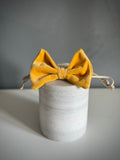 ReadyForBowTie | Velvet Yellow/Gold
