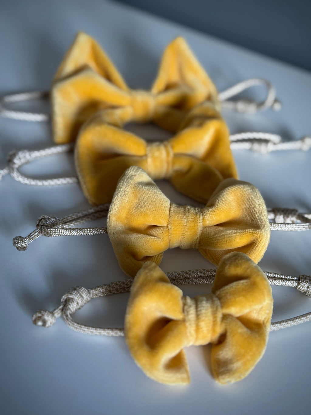 ReadyForBowTie | Velvet Yellow/Gold