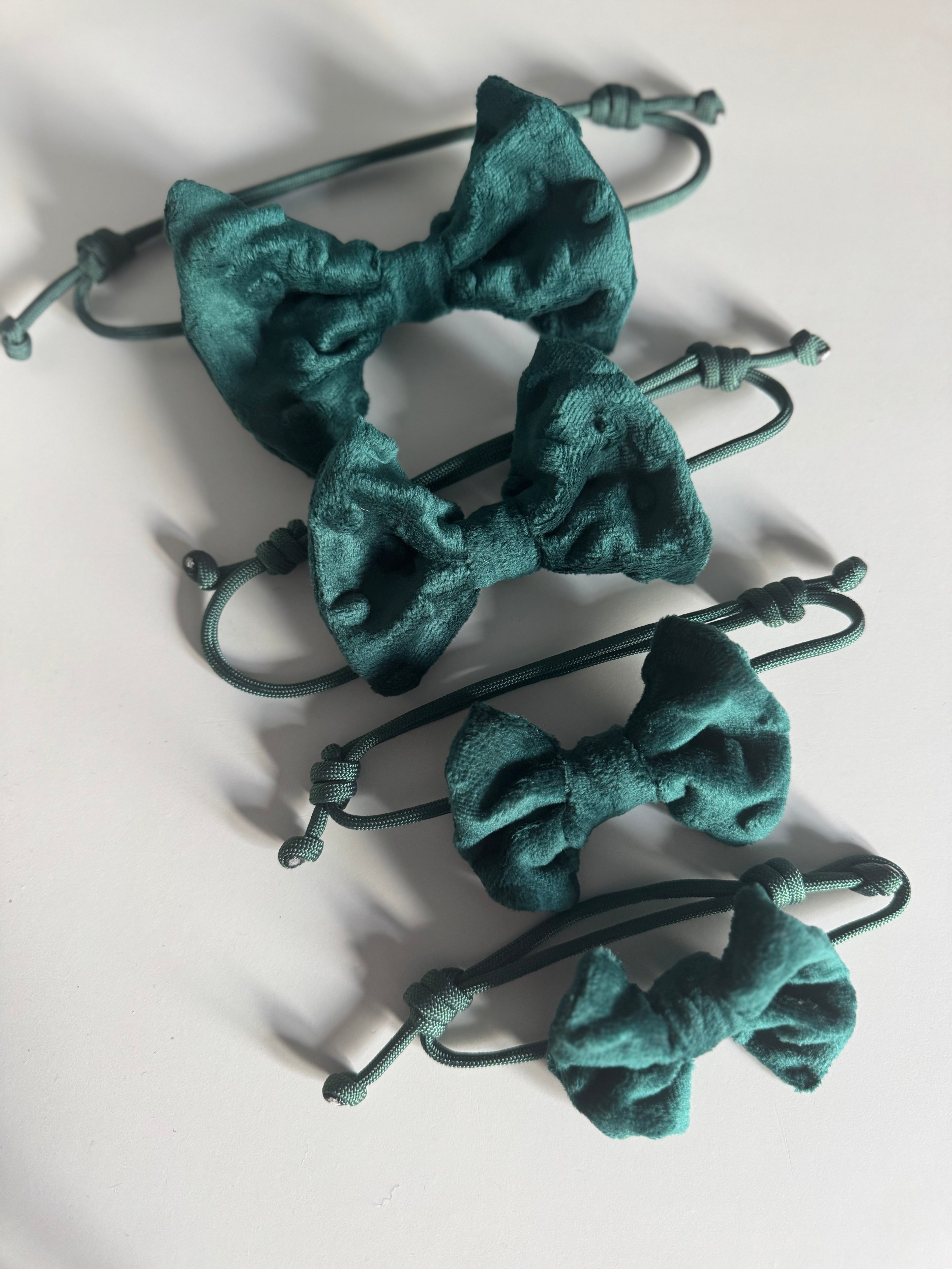 ReadyForBowTie | Dot Green