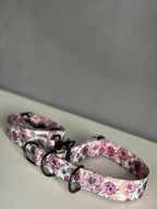 ReadyForHalf-slip | Collar | Meadow