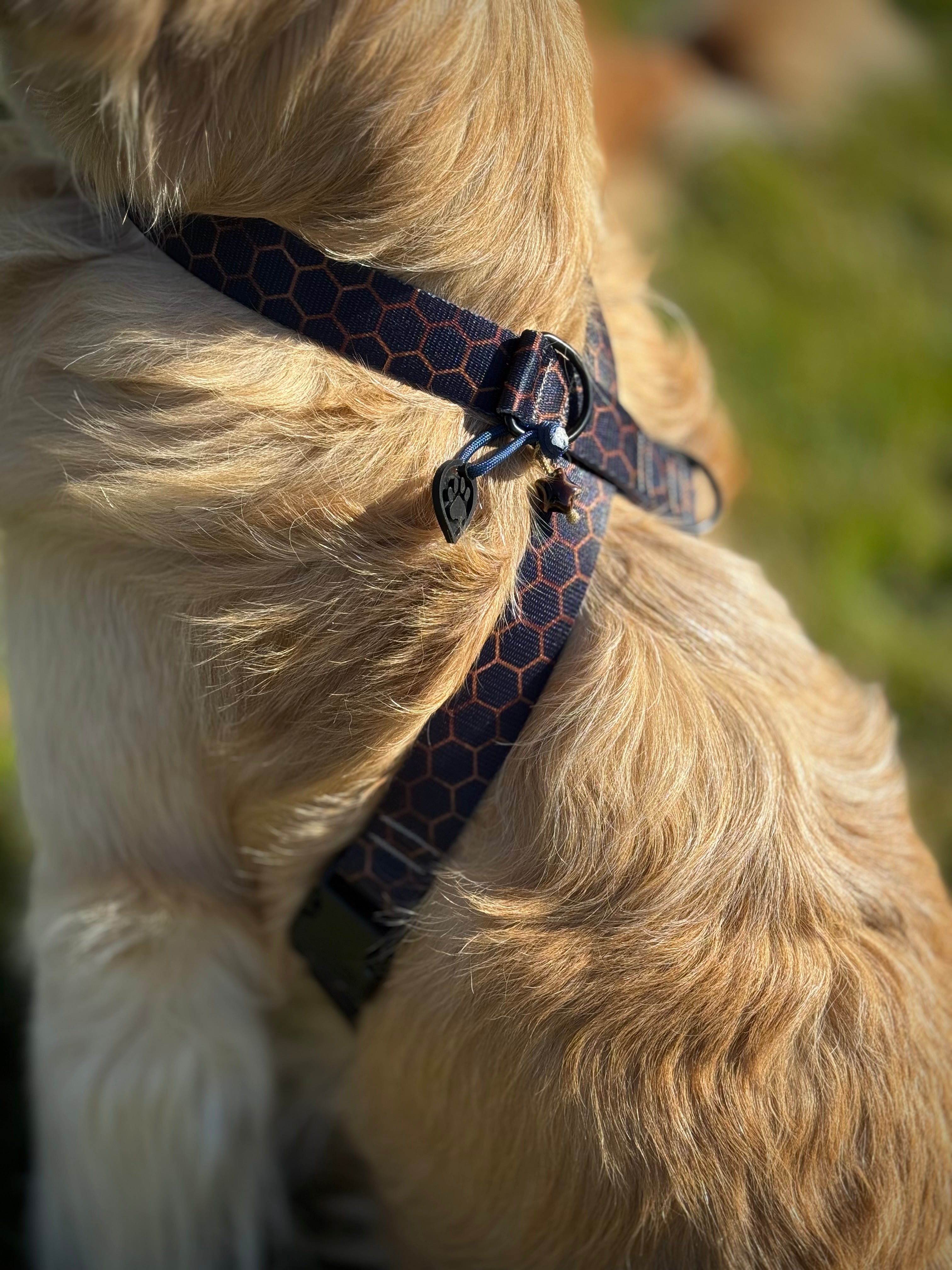 ReadyForHarness | Hexagon Navy