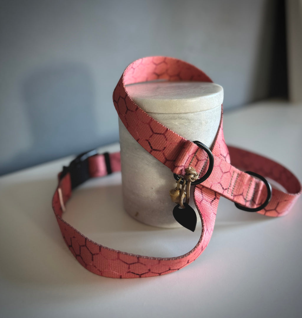 ReadyForHarness | Hexagon Pink