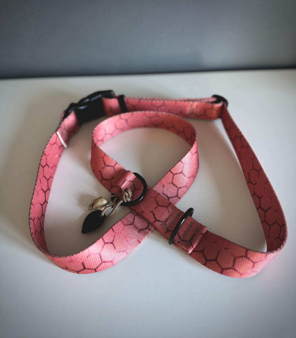 ReadyForHarness | Hexagon Pink
