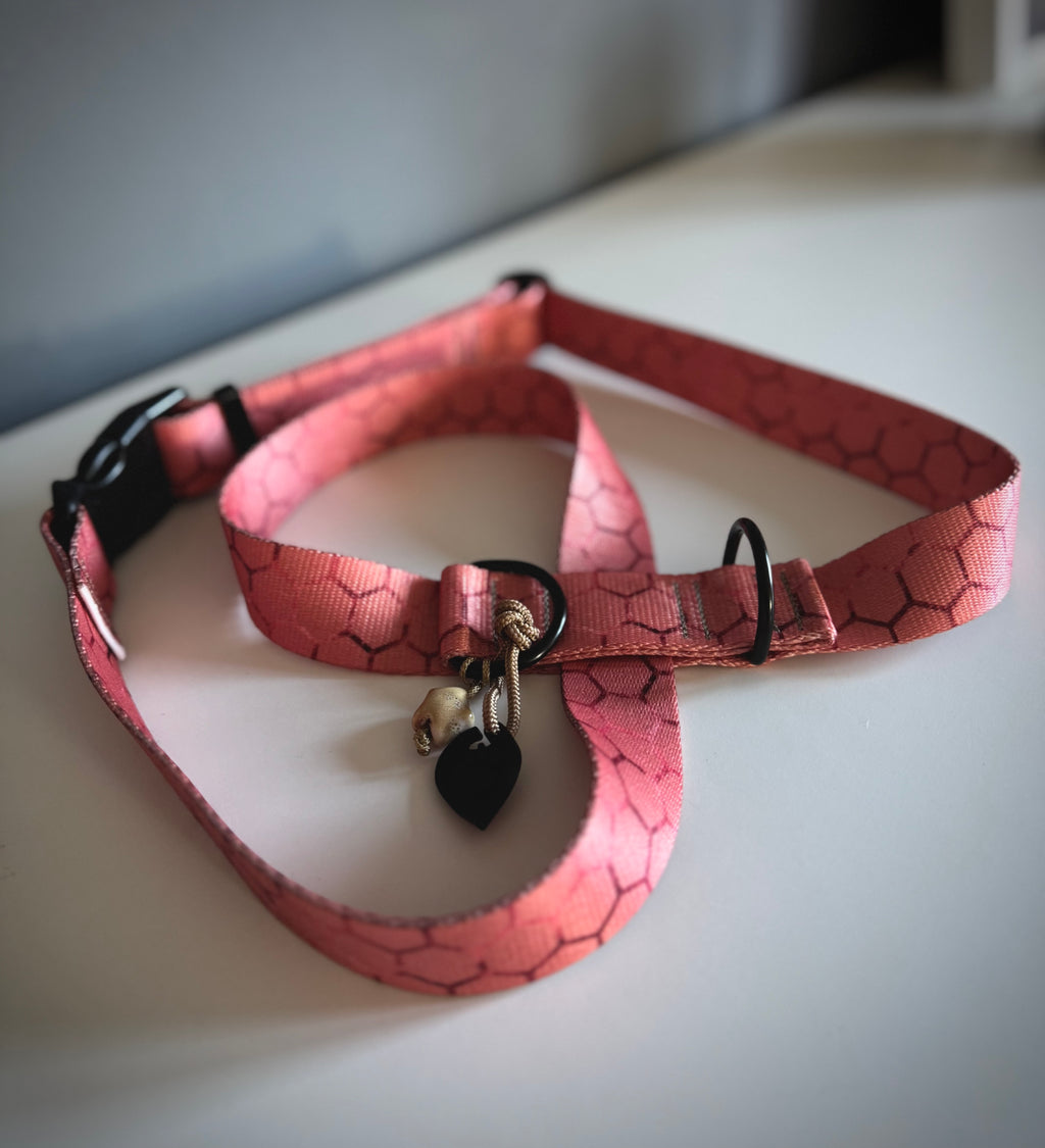 ReadyForHarness | Hexagon Pink
