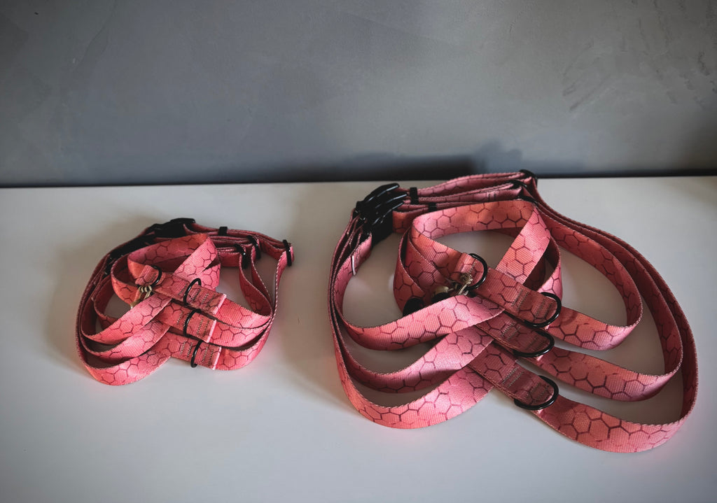 ReadyForHarness | Hexagon Pink