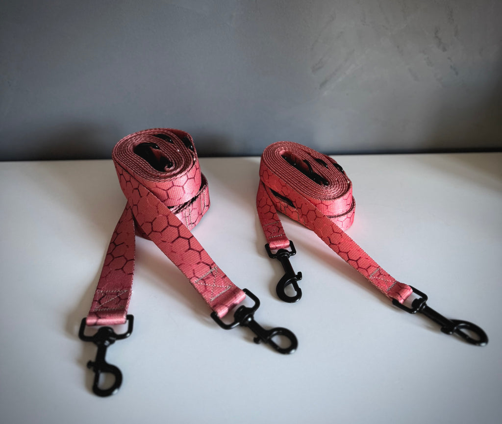 ReadyFor3 | Multifunctional  Leash | Hexagon Pink