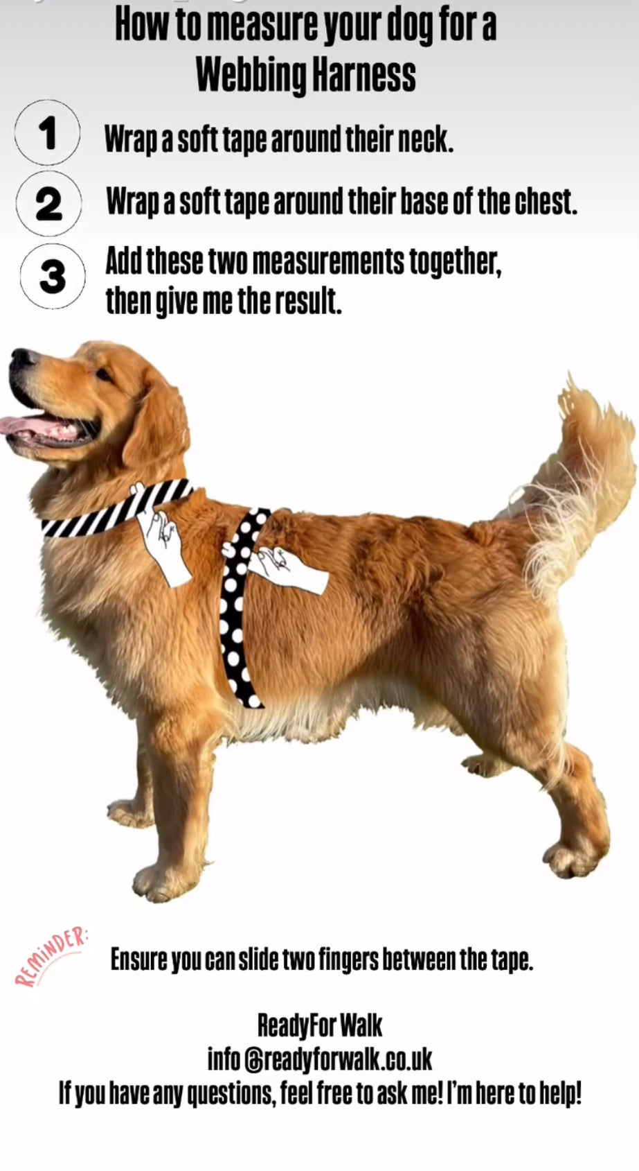 ReadyForHarness | Green Meadow