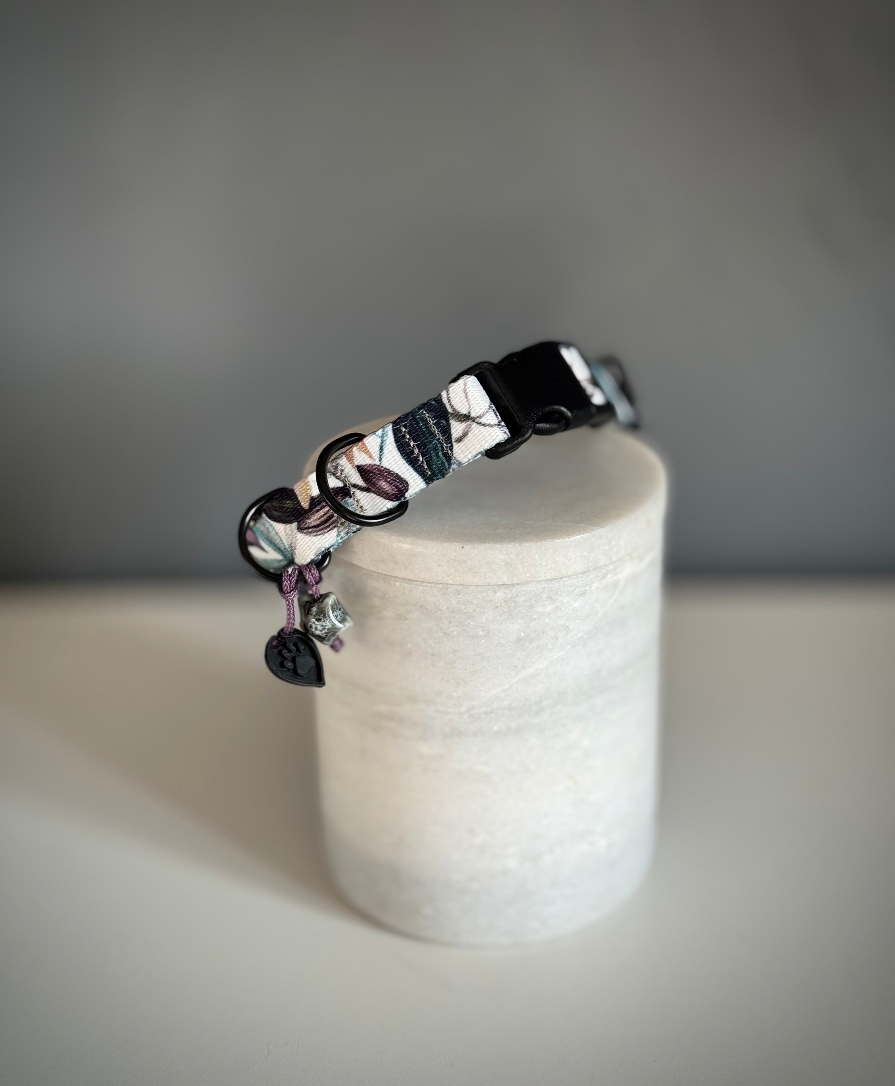 ReadyForBuckle | Collar | Banana Tree